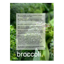 Good Growing Guide: Broccoli and radishes Postcard