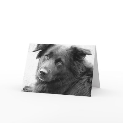 Good Heal Greeting Card by iiiyaaa