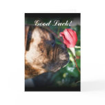 Good Luck Boxer dog and red rose Greeting Cards
