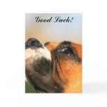 Good Luck Boxer Dog Greeting Card