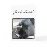 Good Luck Boxer greeting card