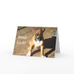 Good Luck Boxer greeting card