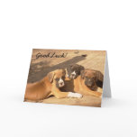 Good Luck Boxer puppies greeting card
