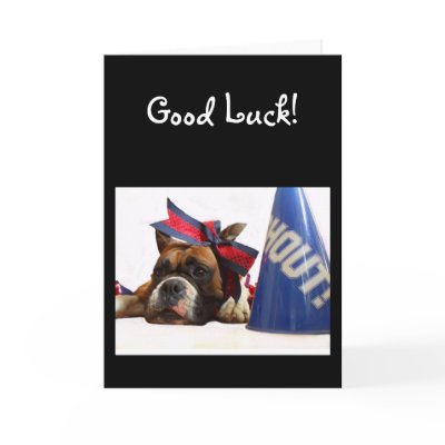 Good Luck Cheerleader boxer greeting card by ritmoboxer