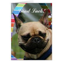 Good Luck French Bulldog greeting card