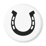 good luck horseshoe fridge magnets