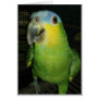 Good Morning! Greeting Card