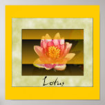 Good Morning Lotus posters