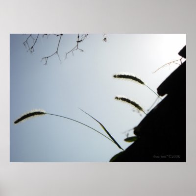 Good Morning Print by riverme