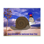 Good Old Fashioned Snail Mail Post Cards
