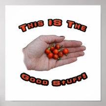 Good Stuff Cascabel Hot Pepper Design Image Print