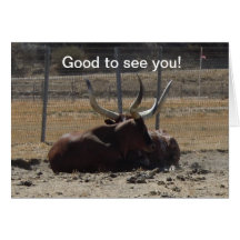 Good to see you! Card