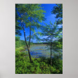 Goodwin State Forest Pine Acres Pond Posters