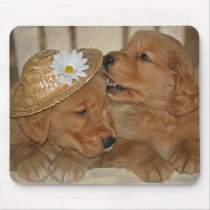 Goofy Goldens