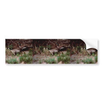 Goose Camp Site Bumper Sticker