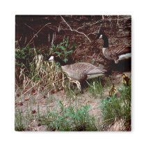 Goose Camp Site Refrigerator Magnets