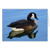 goose greeting cards