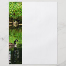 Goose Floating on Pond Flyer Design