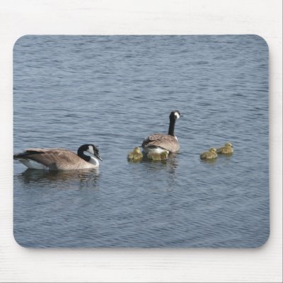 Goose Mouse Pads by bkang22