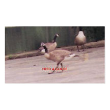 GOOSE, NEED A GOOSE BUSINESS CARD TEMPLATE