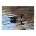 Goose on Pond Card