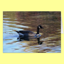 Goose on Pond cards