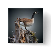GOOSE ON SNAG #2 BUTTON