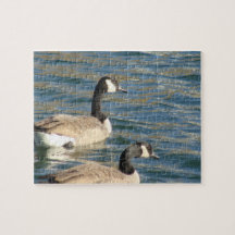 Goose Pair Puzzles