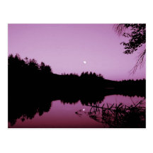 Goose Pond in the evening Post Card
