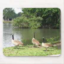 Goosy, Goosy, Gander Mouse Mats
