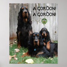 GORDON ! GORDON ! Affiche de poseur de Gordon