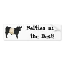 Gorgeous Belted Galloway Steer Cutout Bumper Stickers