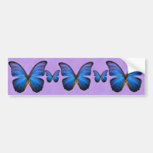 Gorgeous Blue Morpho Butterfly Bumper Stickers