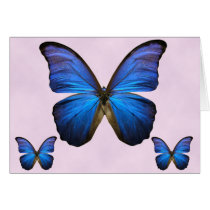 Gorgeous Blue Morpho Butterfly Greeting Card