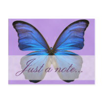 Gorgeous Blue Morpho Butterfly Postcard
