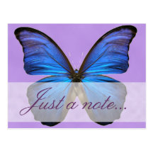 Gorgeous Blue Morpho Butterfly Postcard