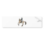 Gorgeous Buckskin Dressage Horse Art bumper stickers
