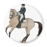 Gorgeous Buckskin Dressage Horse Art magnets