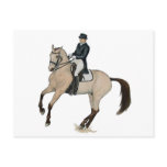 Gorgeous Buckskin Dressage Horse Art postcards