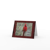 Gorgeous Cardinal Photo- Thank You Note Card