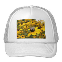 GORGEOUS DAISY FIELDS & HONEY BEE HAT