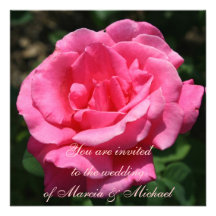 Gorgeous Deep Pink Rose Announcements
