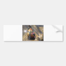 Gorgeous Duck Photo Bumper Stickers