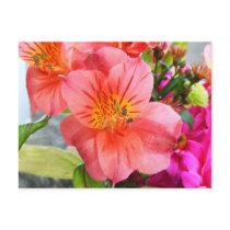 Gorgeous Lily Post Cards