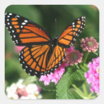 Gorgeous Monarch Butterfly Design Square Stickers