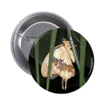 Gorgeous Moth Button
