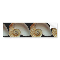 Gorgeous Nautilus shell Bumper Sticker