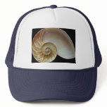 Gorgeous Nautilus shell Mesh Hat