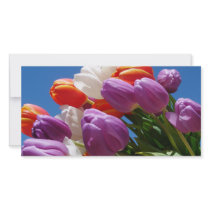 Gorgeous Purple Tulips Card Easter Mother's Day Photo Card