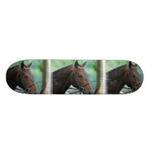 Gorgeous Warmblood Horse Skateboard